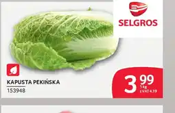 Selgros Kapusta pekińska oferta