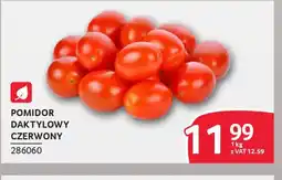 Selgros Pomidor daktylowy oferta