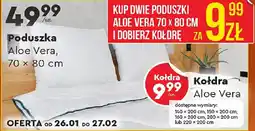 Biedronka Poduszka Aloe Vera oferta