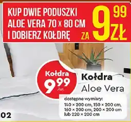 Biedronka Kołdra Aloe Vera oferta