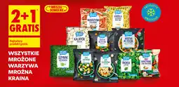 Biedronka Mrożone Warzywa Mrożna Kraina oferta