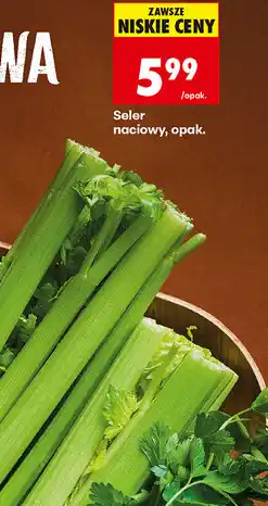 Biedronka Seler naciowy, opak oferta
