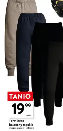 Intermarche Termiczne kalesony męskie oferta