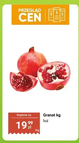 Biedronka Granat luz oferta