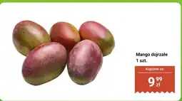 Biedronka Mango dojrzałe 1 szt oferta