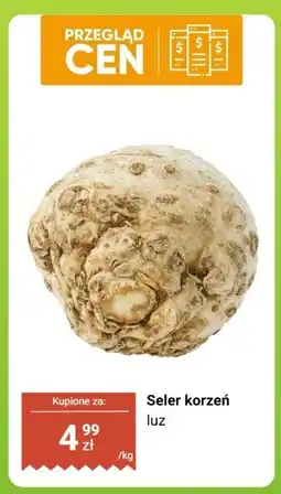 Biedronka Seler korzeń luz oferta