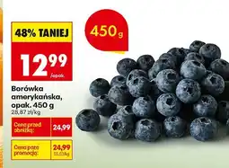 Biedronka Borówka amerykańska XL SEKOYA oferta