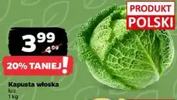 Netto Kapusta włoska polska oferta