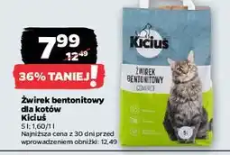 Netto Żwirek bentonitowy compact Kiciuś oferta