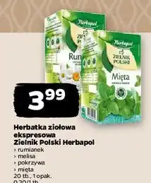 Netto Herbatka pokrzywa Herbapol Zielnik Polski oferta