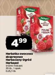 Netto Herbata malina z żurawiną Herbapol Herbaciany Ogród oferta
