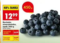 Biedronka Borówka amerykańska K! oferta