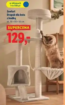Lidl Zoofari Drapak dla kota z budką oferta