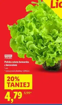 Lidl Polska sałata batavska z korzeniem oferta