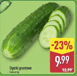 ALDI Ogórki gruntowe oferta