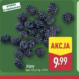 ALDI Jeżyny oferta