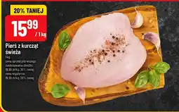 Polomarket Ser w plastrach mazdamer oferta