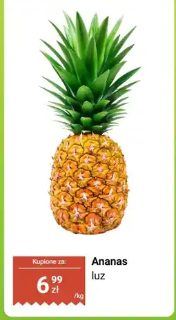 Dino Ananas luz oferta