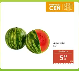 Dino Arbuz mini luz oferta