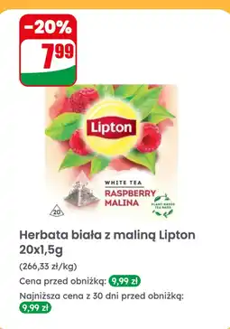 Dino Herbata biała z maliną oferta