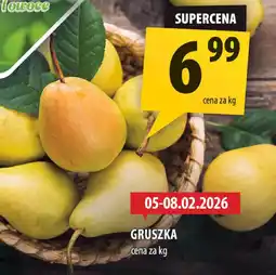 Arhelan Gruszka oferta