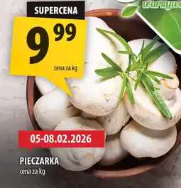 Arhelan Pieczarka oferta