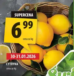 Arhelan Cytryna oferta