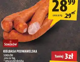 Arhelan Kiełbasa podwawelska SOKOŁÓW oferta