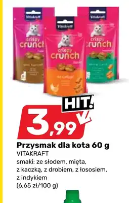 Bricomarche Przysmak dla kota Vitakraft oferta