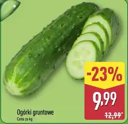 ALDI Ogórki oferta