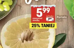 Delikatesy Centrum Pomelo oferta