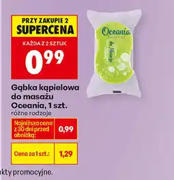 Biedronka Gąbka kąpielowa Oceania oferta