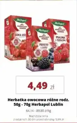 Torimpex Herbatka owocowa Herbapol Lublin oferta