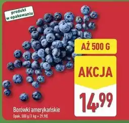 ALDI Borówki amerykańskie (500 g) oferta