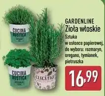 ALDI GARDENLINE Zioła włoskie oferta