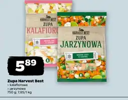Netto Zupa Harvest Best oferta