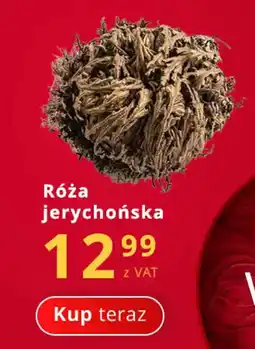 Poczta Polska Róża jerychońska oferta