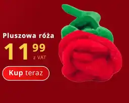 Poczta Polska Pluszowa róża oferta