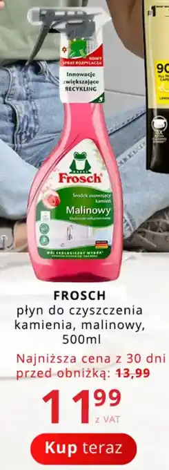 FROSCH płyn do czyszczenia kamienia, malinowy