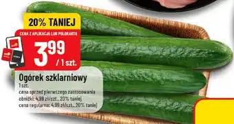 Polomarket Ogórek szklarniowy oferta