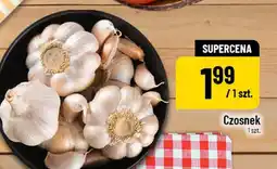 Polomarket Czosnek oferta