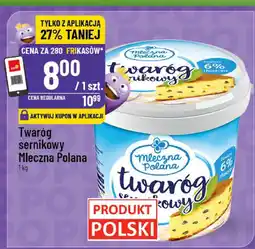 Polomarket Ser w plastrach Rycki Edam oferta