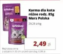 Torimpex Karma dla kota Mars Polska oferta