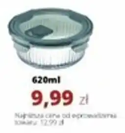 Torimpex Pojemnik Rillet Ambition oferta