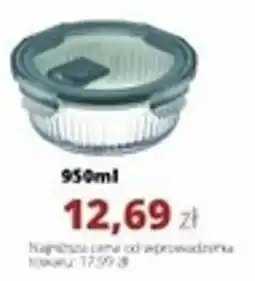 Torimpex Pojemnik Rillet Ambition oferta