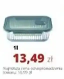 Torimpex Pojemnik Rillet Ambition oferta