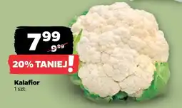 Netto Kalafior oferta