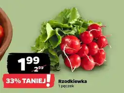 Netto Rzodkiewka oferta