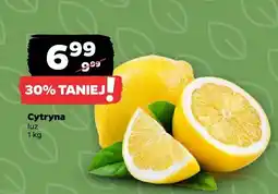 Netto Cytryna luz oferta