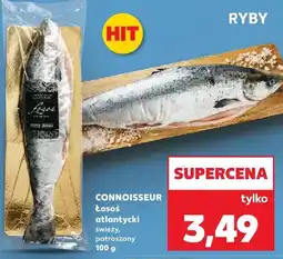 Kaufland Łosoś atlantycki świeży, patroszony oferta